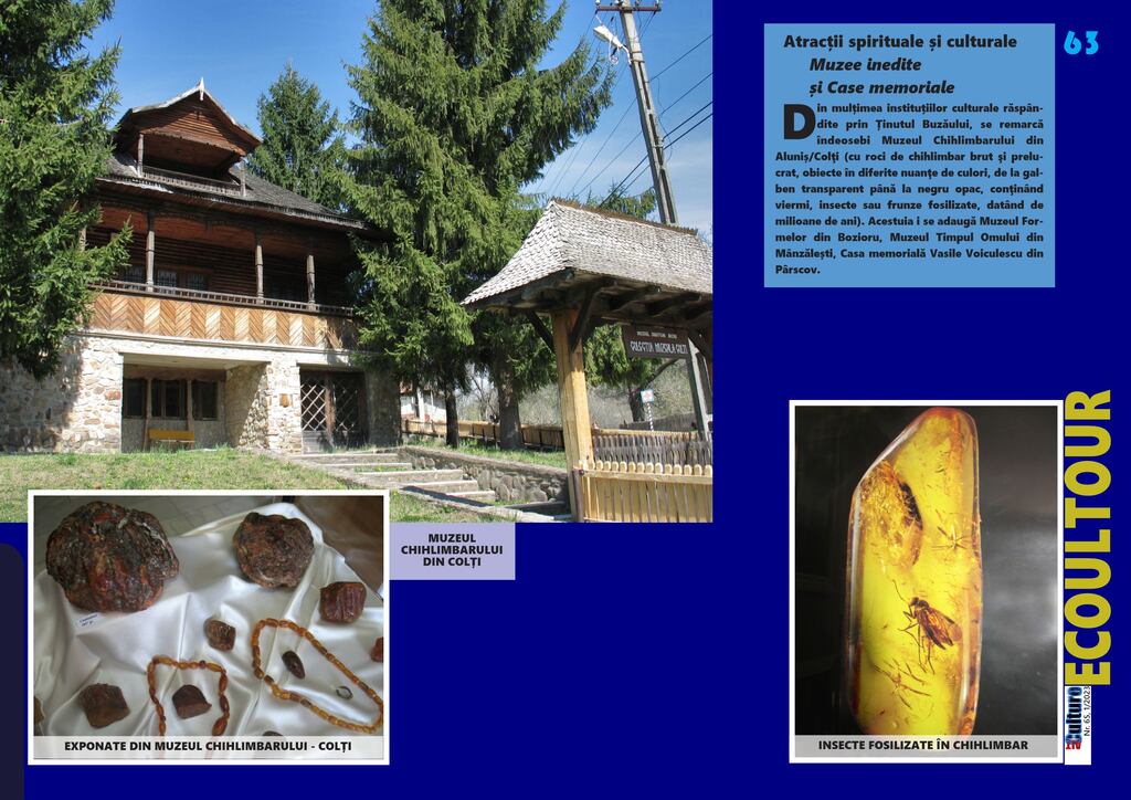 ALTCULTURE MAGAZINE●65●1/2023●SĂ (RE)DESCOPERIM ROMÂNIA!: Geoparcul Ținutul Buzăului
De Adina&Bogdan Baranovschi